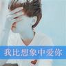 浪漫刺客